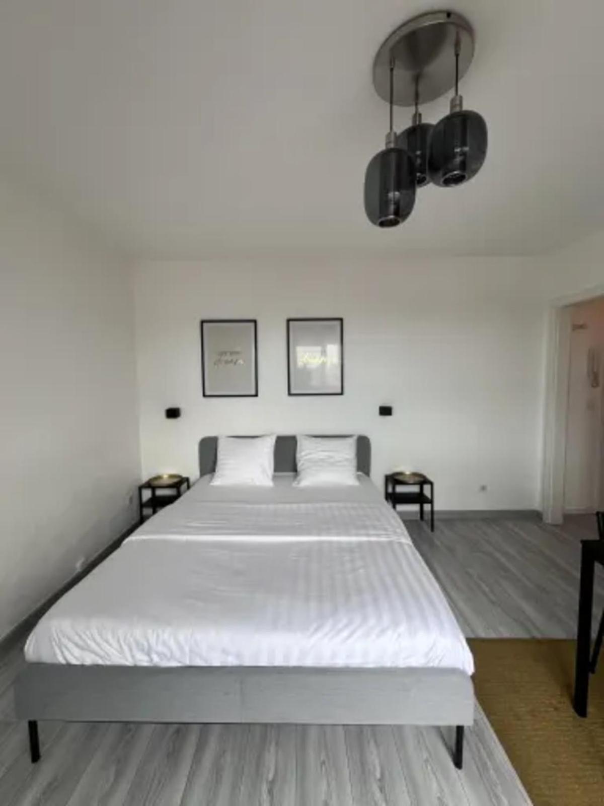 Cosy Rent Strasbourg Wifi Terrasse St Aloise Villa Esterno foto
